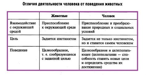 Роль мнестической деятельности в жизни человека