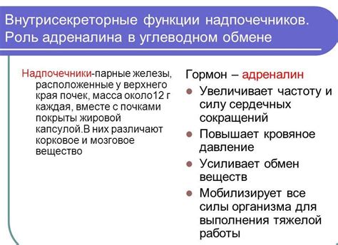 Роль надпочечников в организме человека