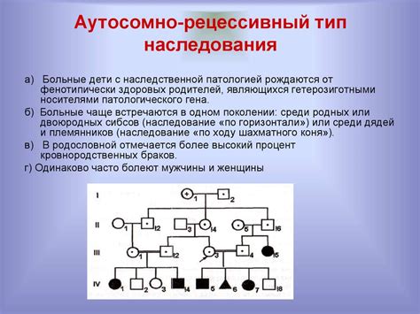 Роль наследования в жизни человека