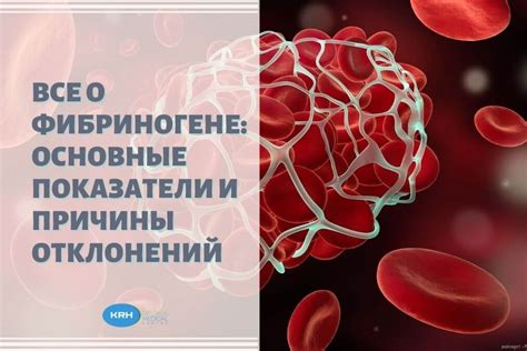 Роль наследственности в повышении уровня фибриногена у женщин