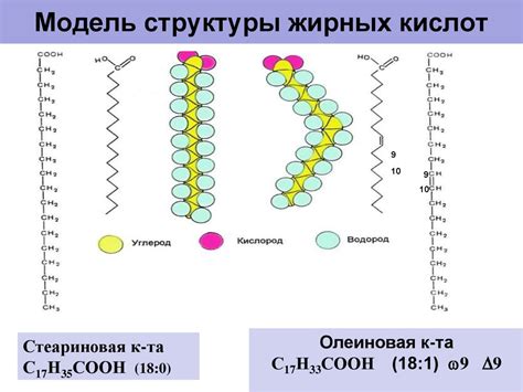 Роль насыщенных жирных кислот в организме