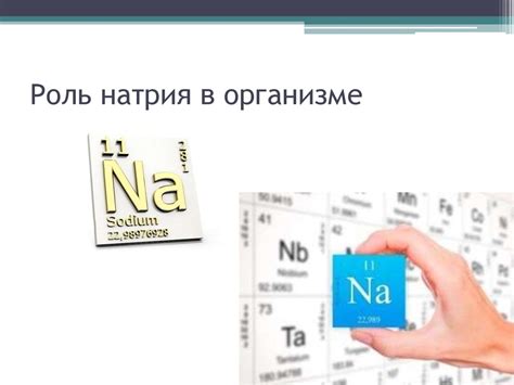 Роль натрия диуретического пептида в организме