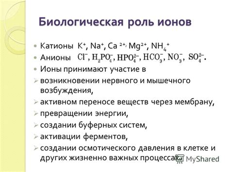 Роль недостатка определенных веществ в возникновении судорог