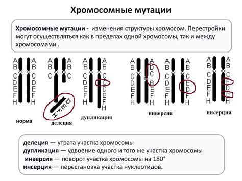 Роль нейтрального генотипа в организме