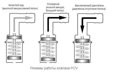 Роль нейтрального клапана