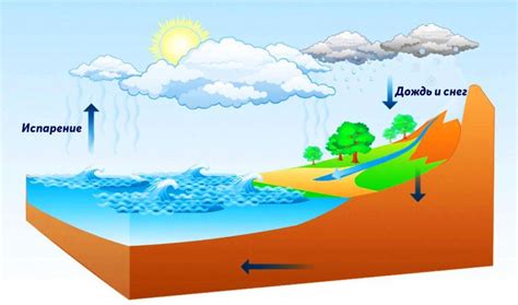 Роль неподвижной воды в природе