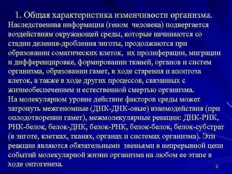 Роль окружающей среды в формировании содержания снов: взаимосвязь и интерпретация