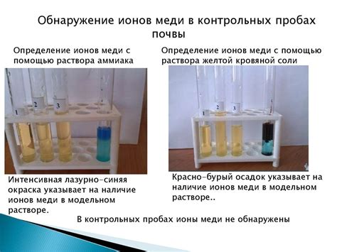 Роль опытного участка в исследовании