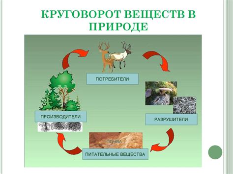 Роль осадочков в природных процессах