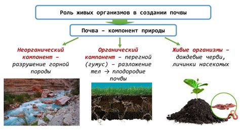 Роль осадочных пород