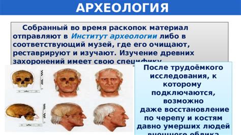 Роль останков человека в археологии