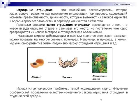 Роль отрицания в нашей жизни