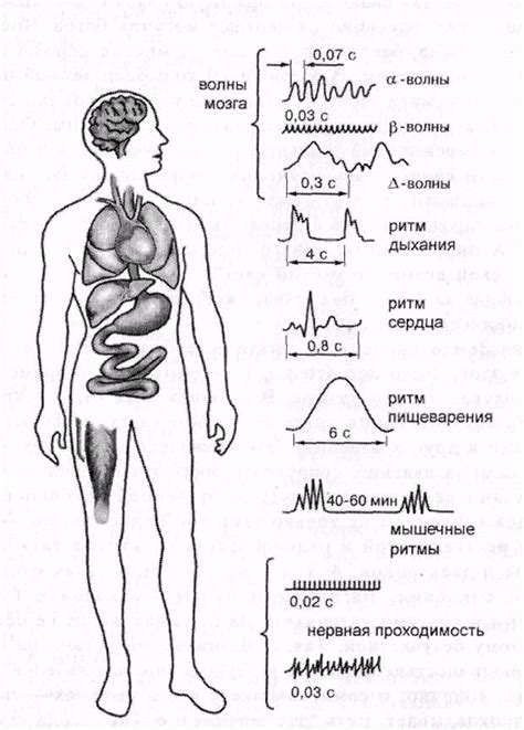 Роль пенсии в жизни человека