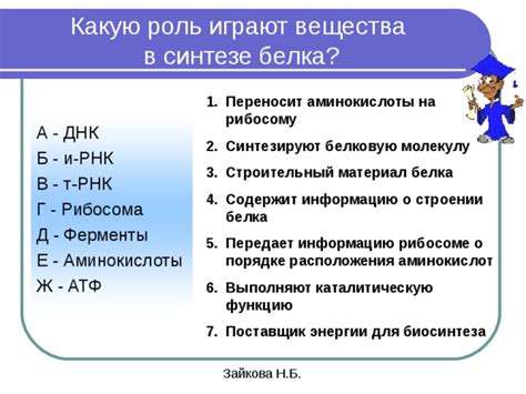 Роль питания в синтезе белка