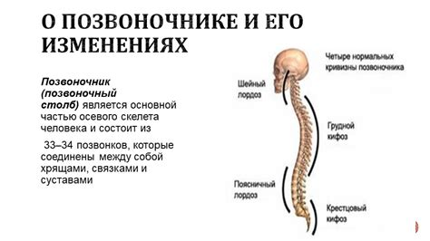 Роль подушки в формировании позвоночника