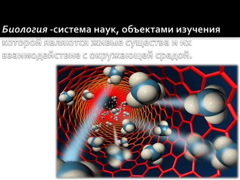 Роль полимерных емкостей в современной экологии