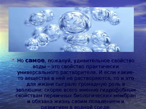 Роль пребывания в водной среде во время сновидений в психоанализе и психотерапии