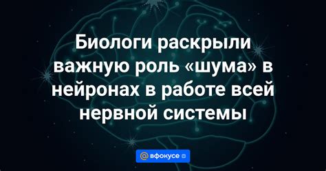 Роль психологического состояния в работе нервной системы