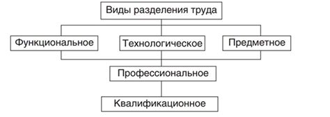 Роль разделения труда и специализации в прогрессе и инновациях