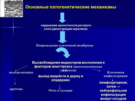 Роль раздражителей в воздухе