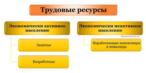 Роль региона в трудовой деятельности