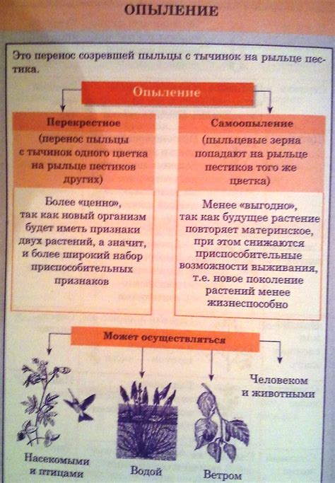 Роль самоопыления в увеличении урожайности растений