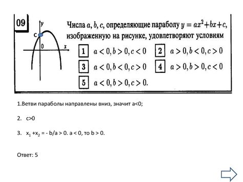 Роль свободного члена и его значения