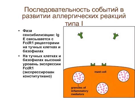 Роль сенсибилизации в развитии аллергических реакций