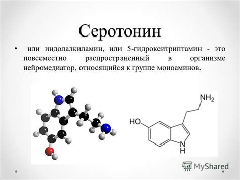 Роль серотонина в организме