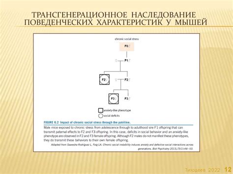 Роль сна в процессе консолидации памяти