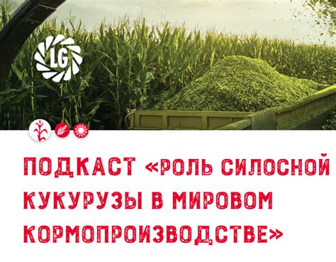 Роль снов о заломах кукурузы в современной культуре