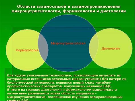 Роль снов о пище в жизни человека