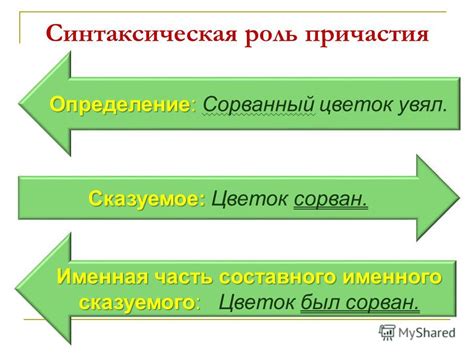 Роль составного именного примера в образовании