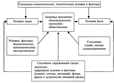 Роль социального здоровья в формировании счастливого общества