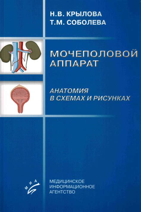 Роль специалиста по мочеполовой системе в выявлении и лечении онкологии мочевого пузыря