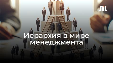 Роль специалиста среднего звена в команде и взаимодействие с другими коллегами