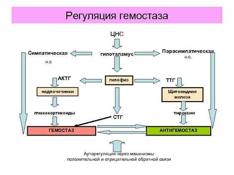 Роль специалистов в обеспечении гемостаза