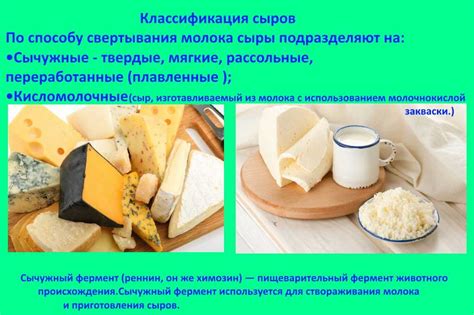 Роль сычужного продукта в производстве сыра