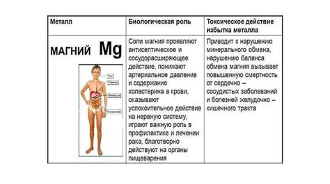 Роль тел ИГМ в организме