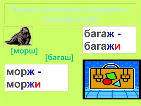 Роль типа орфограмм в русском языке