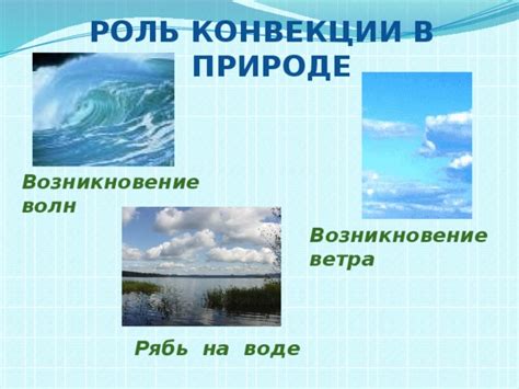 Роль тягуна на воде