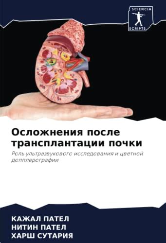 Роль ультразвукового исследования (УЗИ) почек в медицине