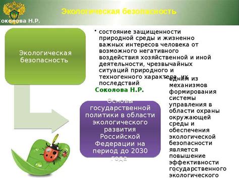 Роль федерального надзора в обеспечении безопасности