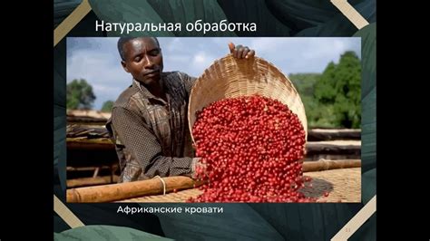 Роль ферментации в сохранении полезных свойств продуктов