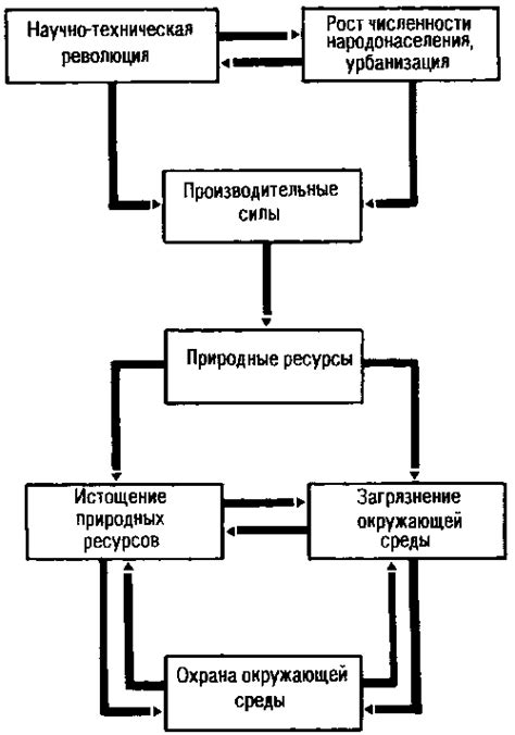 Роль хозяйственной части