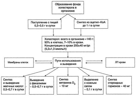 Роль холестерина в организме