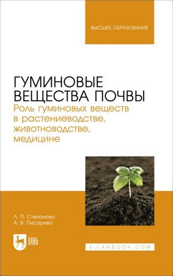 Роль хорошо дренированной почвы в растениеводстве