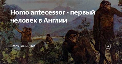 Роль эволюции в развитии Homo sapiens