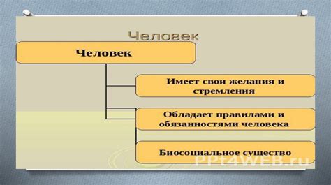 Роль эмали в формировании щербинки