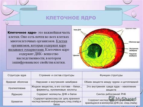 Роль ядра в системе Беклара